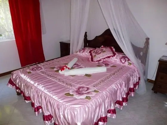 Standard Oda, Bahçe Manzaralı