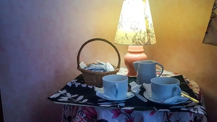 Comfort Tek Büyük Yataklı Oda, Bahçe Manzaralı