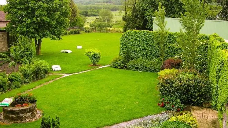 Comfort Tek Büyük Yataklı Oda, Bahçe Manzaralı