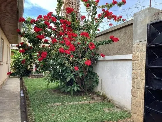 Villa, 3 Yatak Odası, Teras