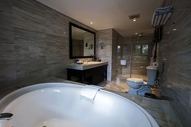 Deluxe Tek Büyük Yataklı Oda, 1 Yatak Odası, Şehir Manzaralı