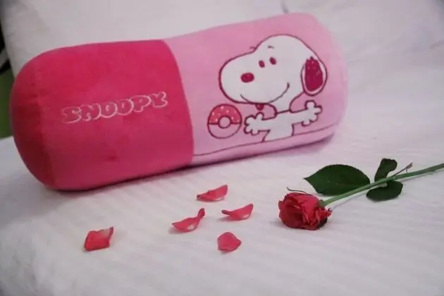 Tek Büyük Yataklı Oda (Cartoon Dog)