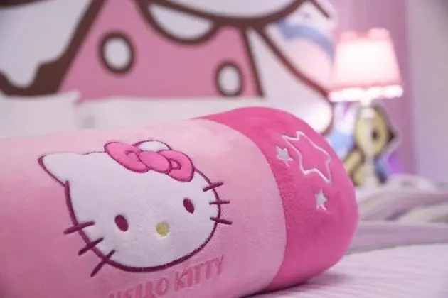 Tek Büyük Yataklı Oda (Pink Cat)