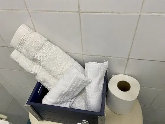 Deluxe Stüdyo Süit, 1 En Büyük (King) Boy Yatak