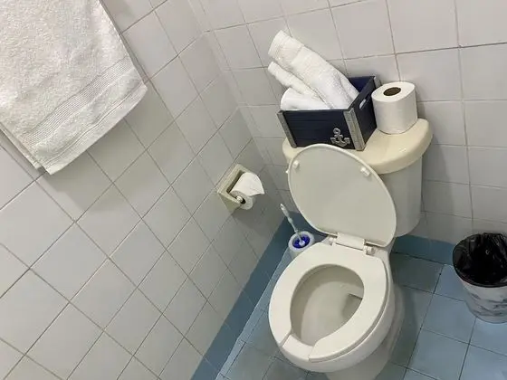 Deluxe Stüdyo Süit, 1 En Büyük (King) Boy Yatak