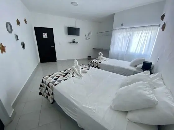 Deluxe Stüdyo Süit, Birden Çok Yatak