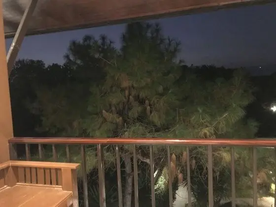 Garden view room for 4 person