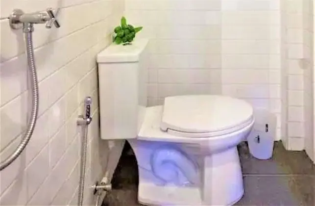 Ev