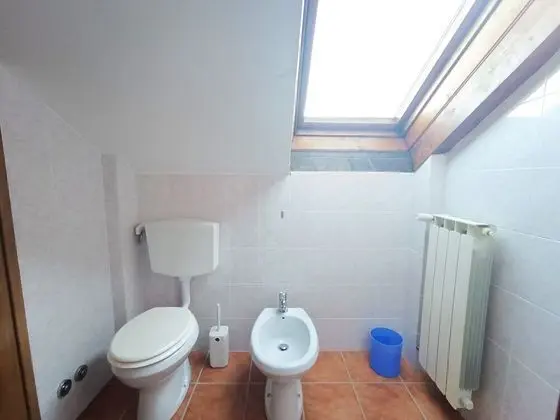 Çatı Katı (Loft), 1 Yatak Odası, Göl Manzaralı