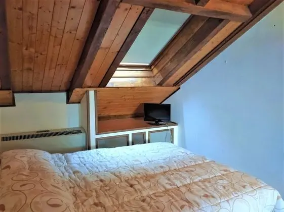 Çatı Katı (Loft), 1 Yatak Odası, Göl Manzaralı