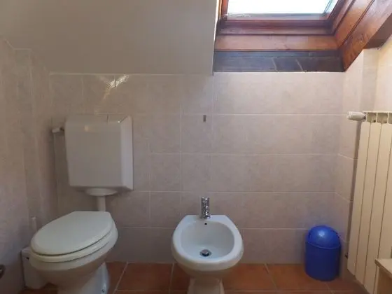 Çatı Katı (Loft), 1 Yatak Odası, Göl Manzaralı