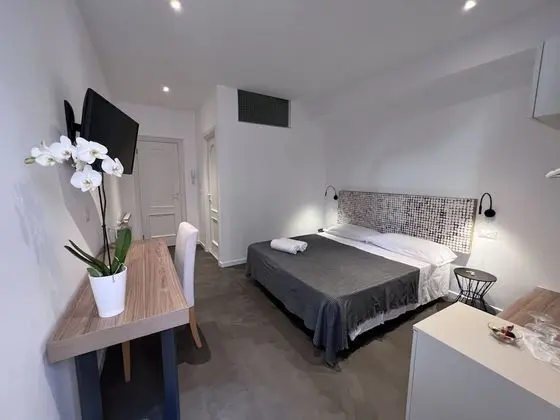 Standard Büyük Yataklı Tek Kişilik Oda