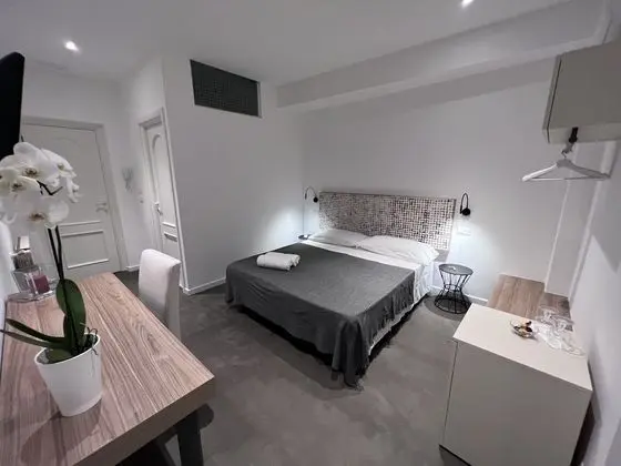 Standard Büyük Yataklı Tek Kişilik Oda