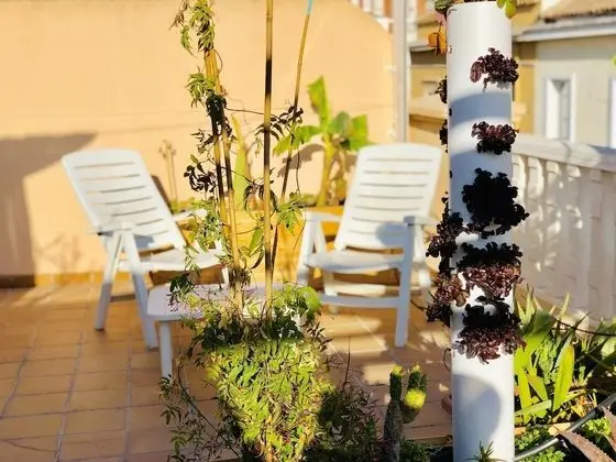 Comfort Stüdyo, 1 Büyük (Queen) Boy Yatak, Teras, Şehir Manzaralı