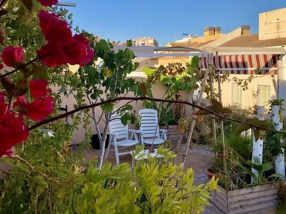 Comfort Stüdyo, 1 Büyük (Queen) Boy Yatak, Teras, Şehir Manzaralı