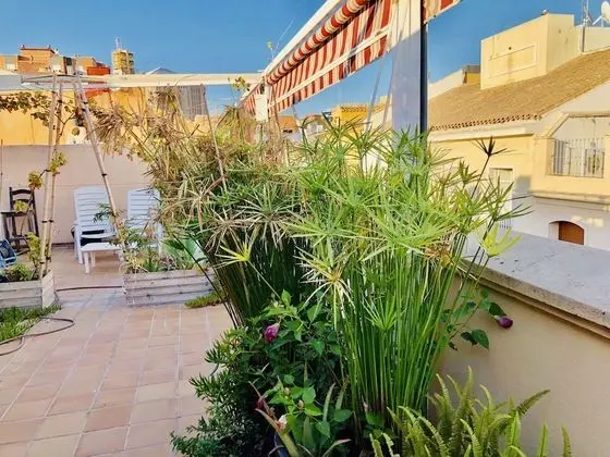 Comfort Stüdyo, 1 Büyük (Queen) Boy Yatak, Teras, Şehir Manzaralı