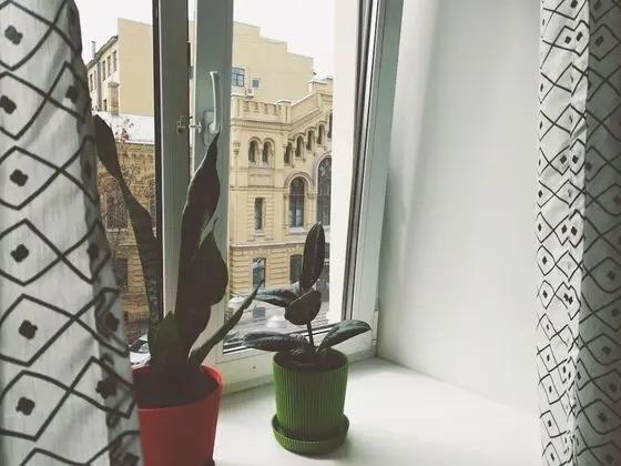 Comfort Ortak Ranzalı Oda, Şehir Manzaralı (4 beds)