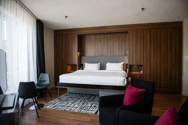 Panoramic Oda, 1 En Büyük (King) Boy Yatak, Şehir Manzaralı, Executive Katı