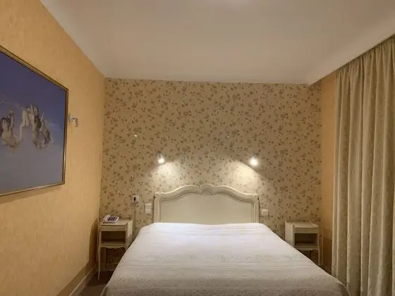 Superior Tek Büyük Yataklı Oda