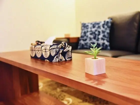 Ev (Private Vacation Home)