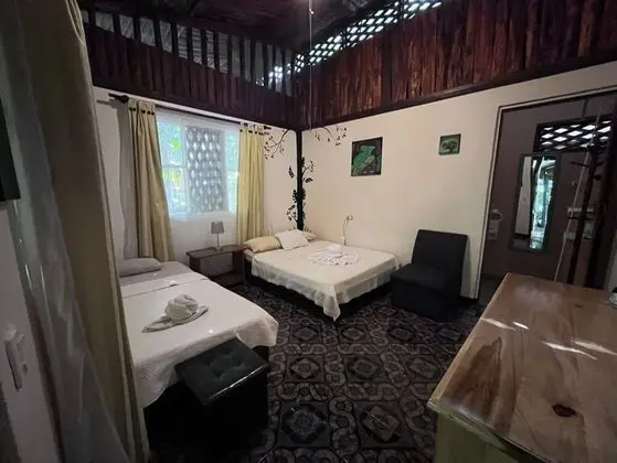 Standard Oda, Veranda, Bahçe Manzaralı (#2)