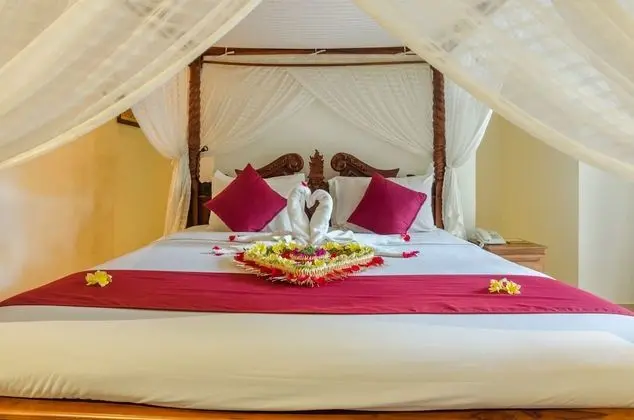 Villa, 1 Yatak Odası