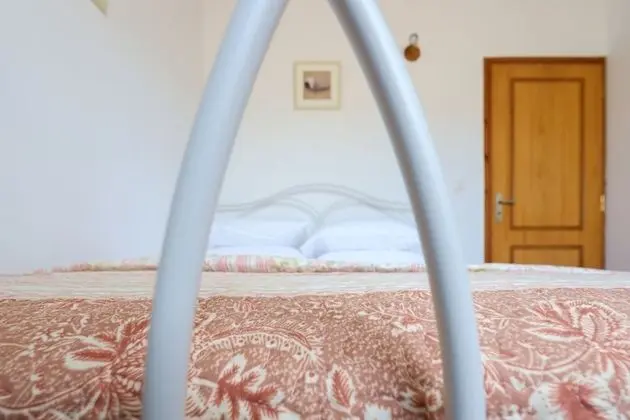 Ev