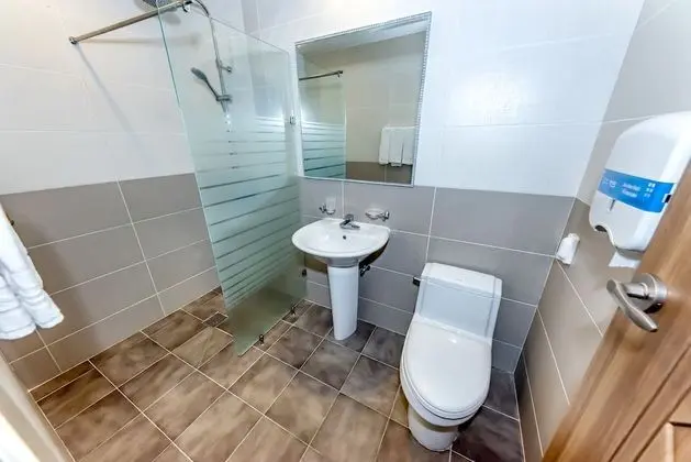 Business Tek Büyük Yataklı Oda, Şehir Manzaralı