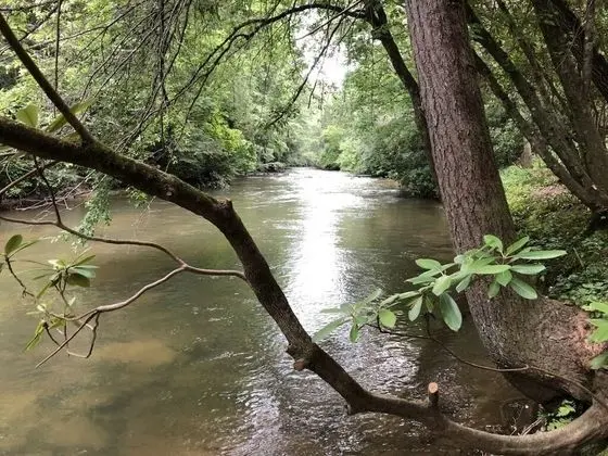 Kulübe (Chimney Path on Fightingtown Creek)