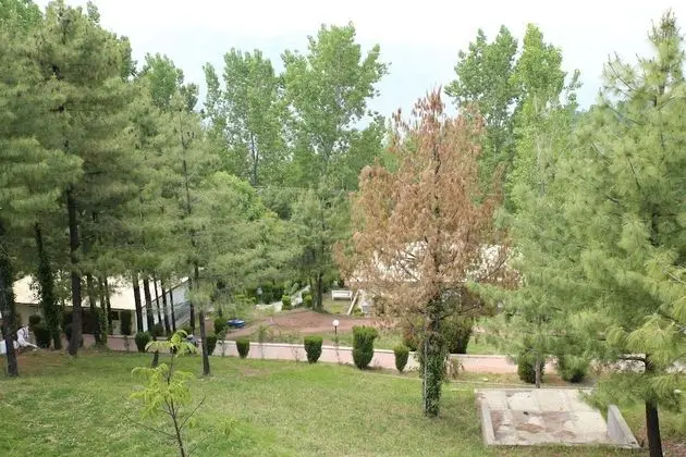 Club Süit, 1 En Büyük (King) Boy Yatak, Sigara İçilebilir, Tepe Manzaralı