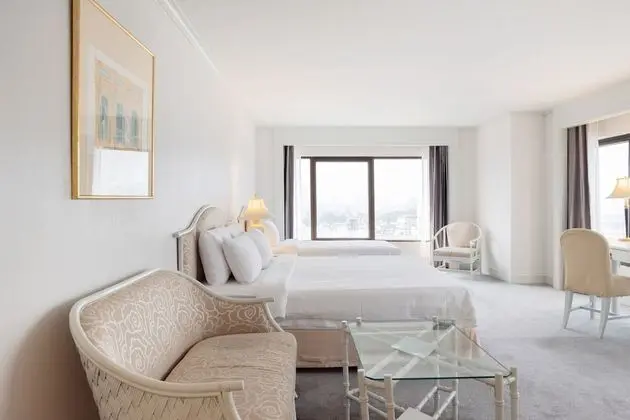 Junior Suite (No Kitchen)