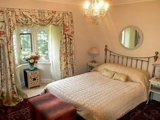 Tek Büyük Yataklı Oda, Banyolu/Duşlu (Gothic Room)