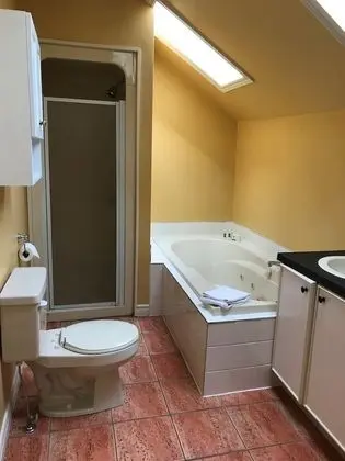Executive Çatı Katı Süiti (Penthouse), 1 En Büyük (King) Boy Yatak