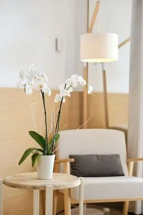 Superior Tek Büyük Yataklı Oda, Balkon, Deniz Manzaralı