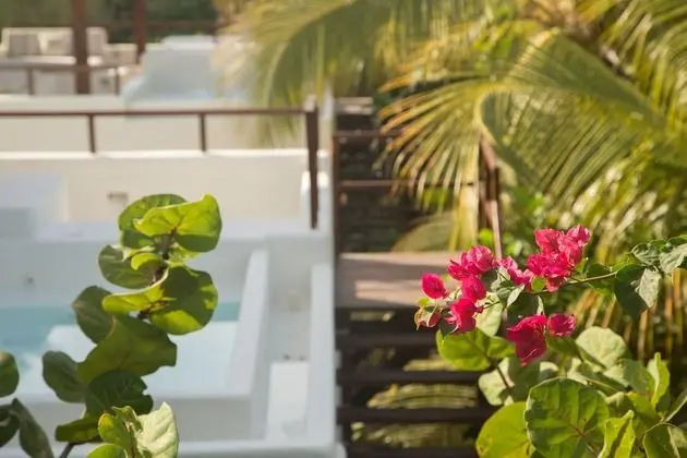 Deluxe with private pool