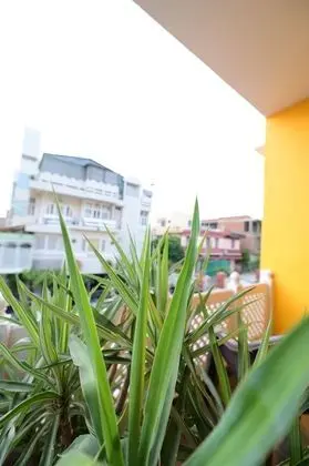Deluxe Tek Büyük Yataklı Oda, 1 Çift Kişilik Yatak, Dağ Manzaralı