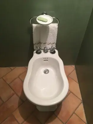 Tek Büyük Yataklı Oda, Özel Banyo, Bahçe Manzaralı