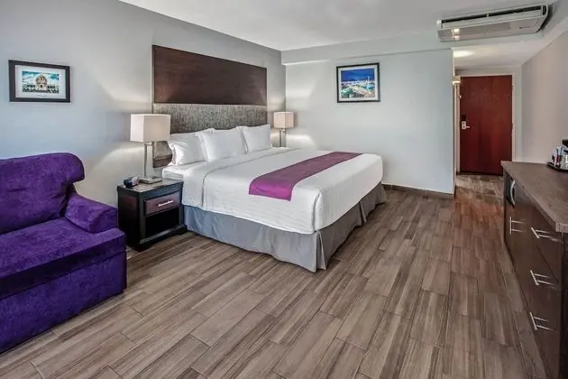Executive Oda, 1 En Büyük (King) Boy Yatak, Sigara İçilmez, Şehir Manzaralı