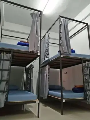 8-Bed Mixed Dormitory (Upper)