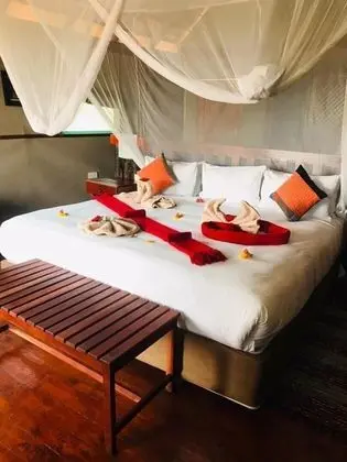 Honeymoon Çadır