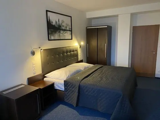 Superior Tek Büyük Yataklı Oda, 1 Yatak Odası, Park Manzaralı