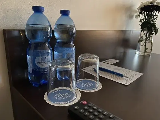 Superior Tek Büyük Yataklı Oda, 1 Yatak Odası, Park Manzaralı