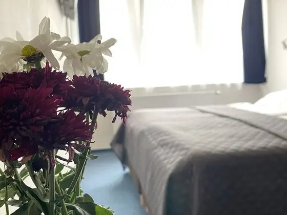 Superior Tek Büyük Yataklı Oda, 1 Yatak Odası, Park Manzaralı