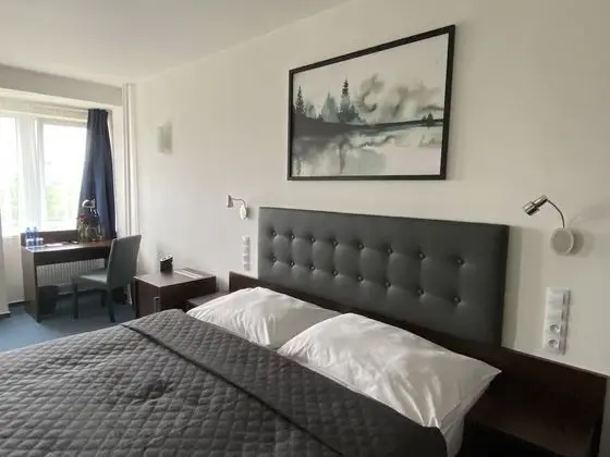 Superior Tek Büyük Yataklı Oda, 1 Yatak Odası, Park Manzaralı