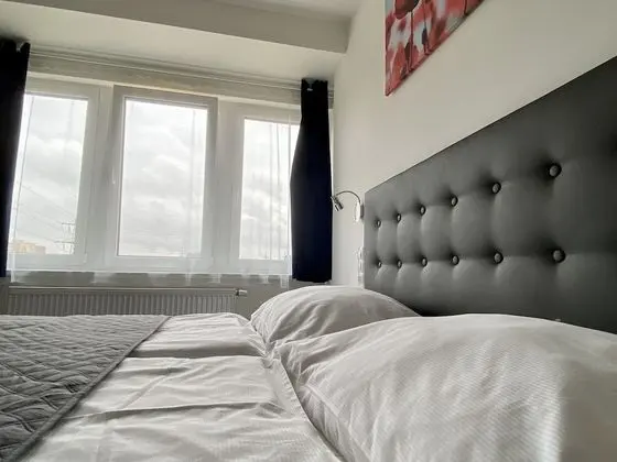 Superior Tek Büyük Yataklı Oda, 1 Yatak Odası, Park Manzaralı