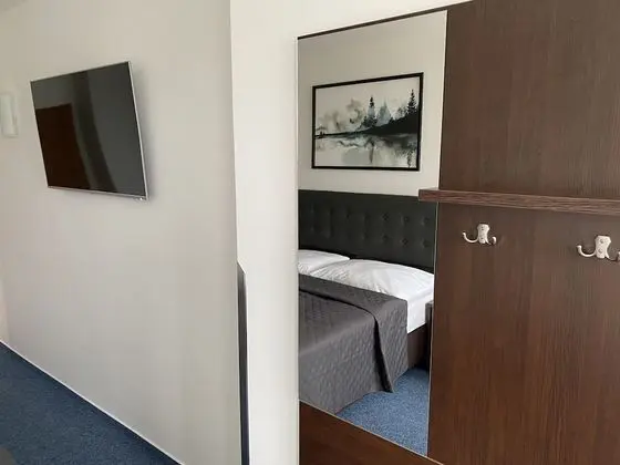 Superior Tek Büyük Yataklı Oda, 1 Yatak Odası, Park Manzaralı