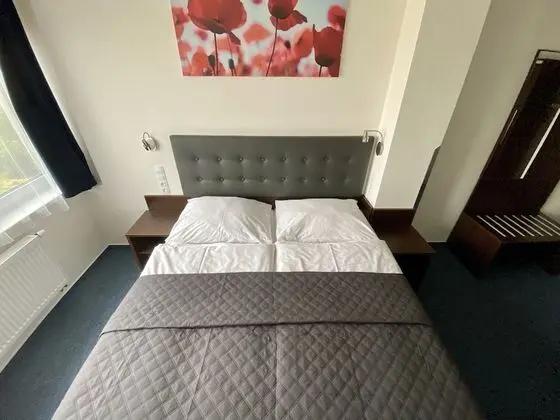 Superior Tek Büyük Yataklı Oda, 1 Yatak Odası, Park Manzaralı