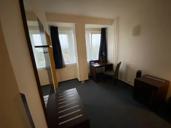 Superior Tek Büyük Yataklı Oda, 1 Yatak Odası, Park Manzaralı