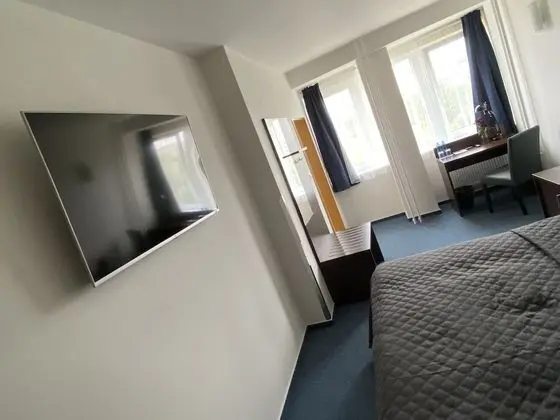 Superior Tek Büyük Yataklı Oda, 1 Yatak Odası, Park Manzaralı