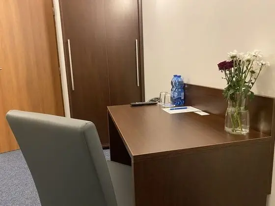 Superior Tek Büyük Yataklı Oda, 1 Yatak Odası, Park Manzaralı